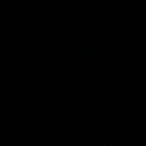 Meet your Posher, Sofia